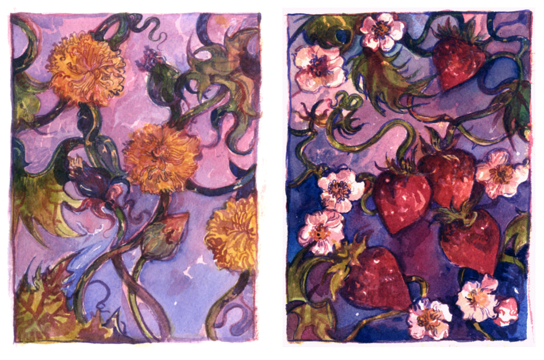 Blodau'r Haf / Summer Flowers