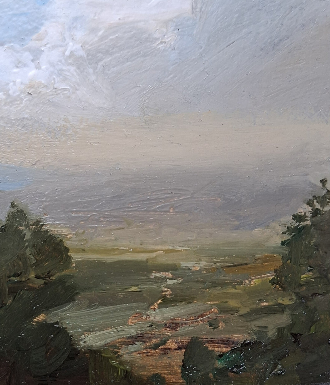 Golygfa o Fryn / View from a Hill