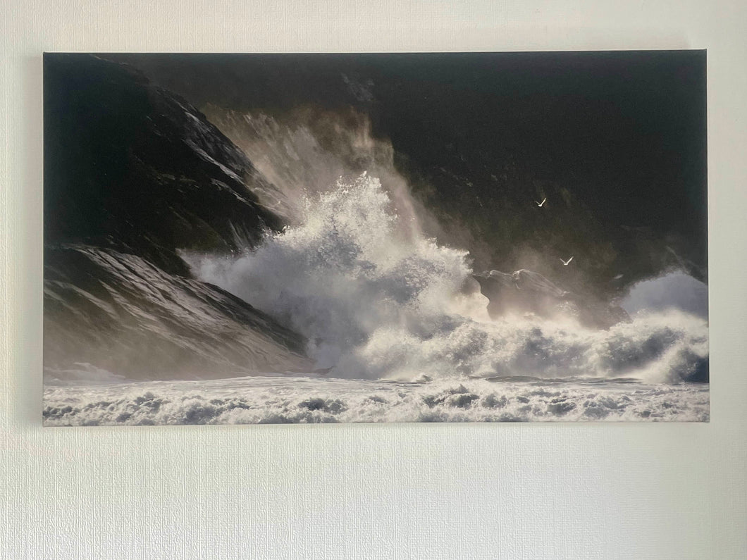 Y Storm / The Storm